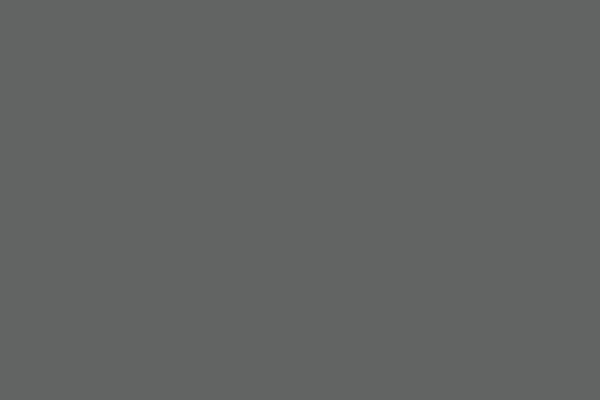 Mouse grey STB-458