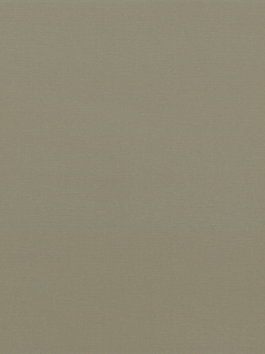 Pearl Beige 1035