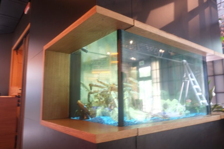 restoran fish fusion 3 768x512