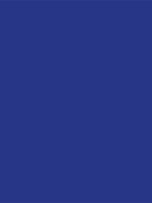 Ultramarine Blue 5002