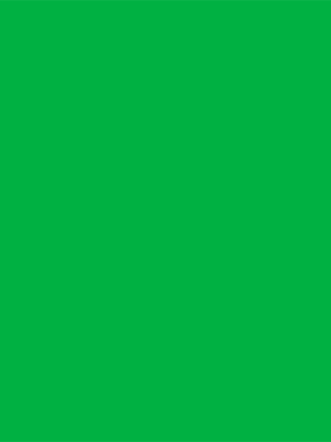 yellow-green-6018-alucomp-alucoil-1678357232oaumk.png Yellow Green 6018