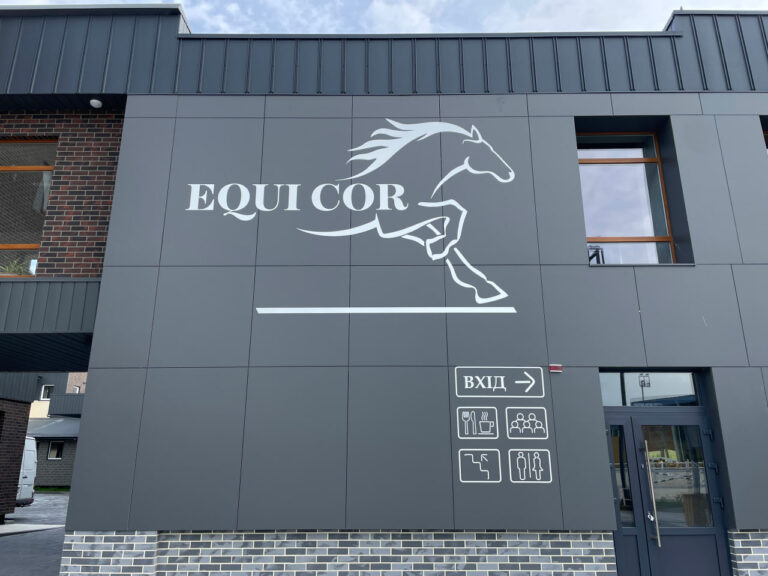 kinno sportivniy kompleks equicor 9 768x576